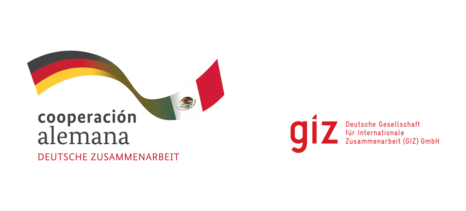 GIZ México